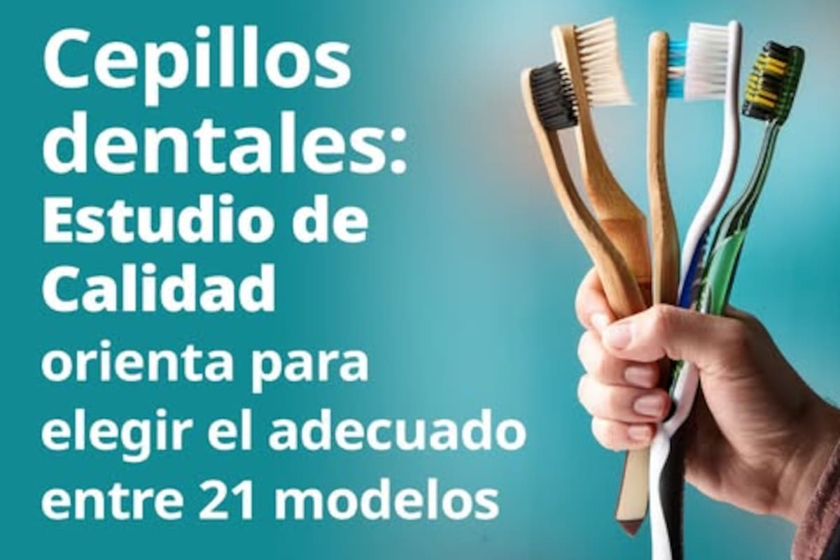 ¿Pagas de más por lo mismo? PROFECO revela que cepillos dentales caros no son mejores