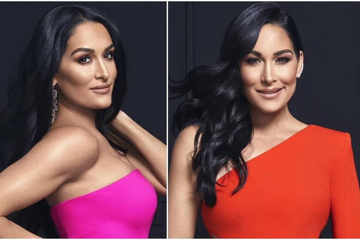 Total Bellas, del ring de la WWE a la maternidad