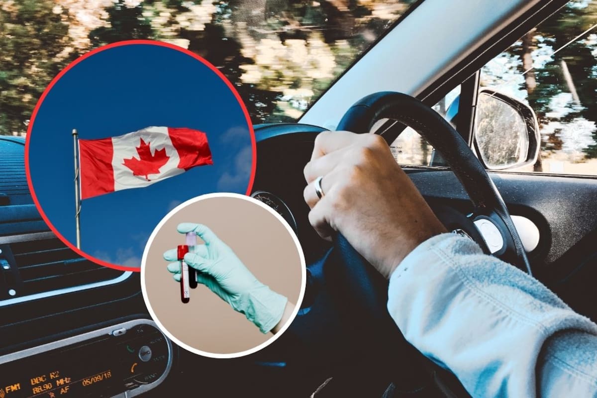 Canadiense que llevaba una bandera de su país a una protesta contra Trump fue detenido en la frontera y obligado a entregar una muestra de ADN