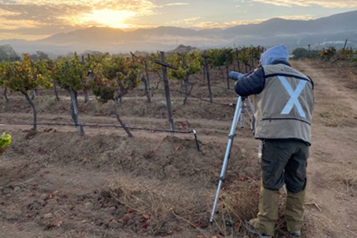 UABC y Santo Tomás realizan investigación en Valle de Guadalupe