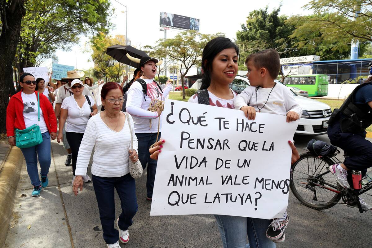Protestarán contra el maltrato animal en Tijuana