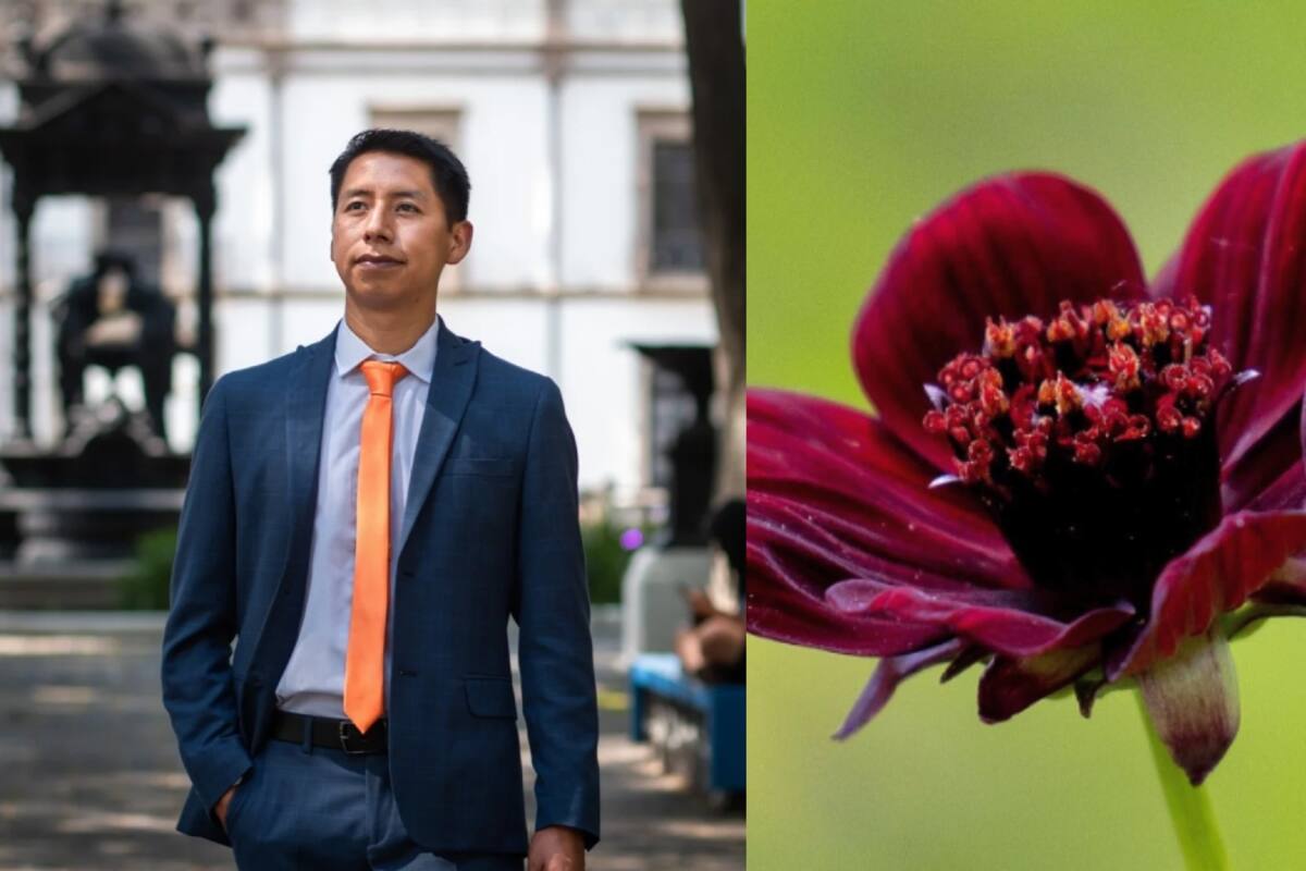 Científico mexicano rescata una flor endémica de México que se creía extinta
