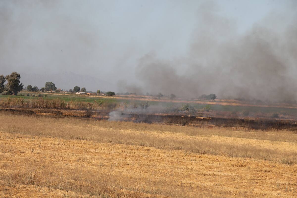 Contaminación en Mexicali, impulsada por quemas agrícolas en EU