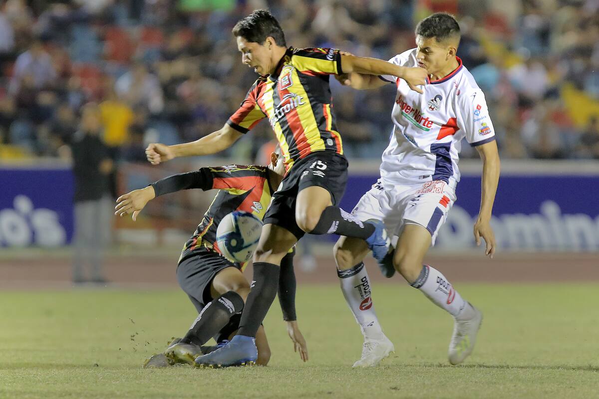 Cimarrones anuncia participación en Ascenso MX como visitante