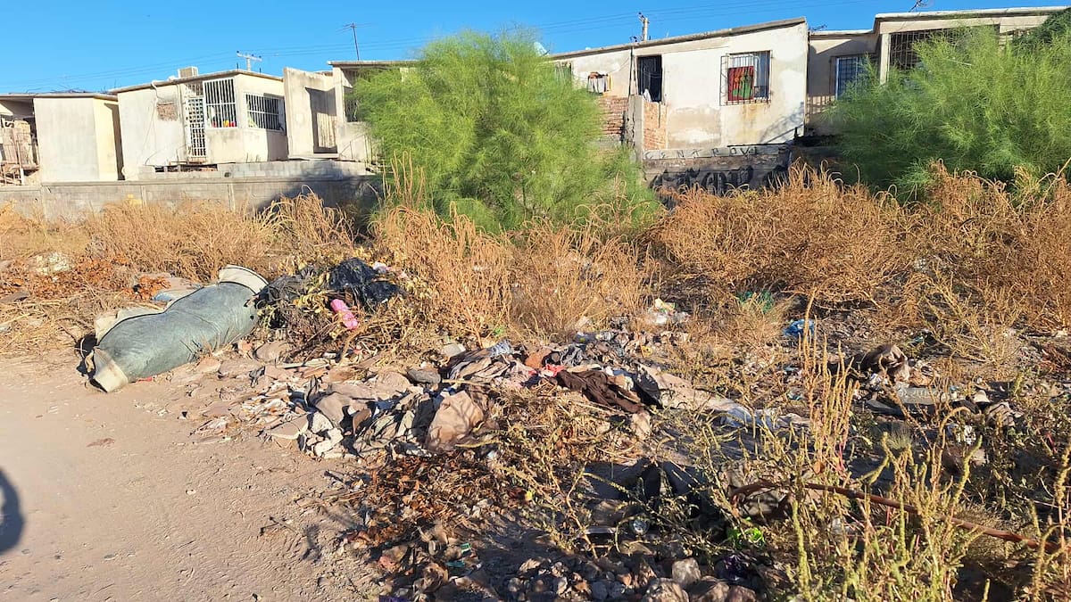 Padres de familia cierran primaria; Exigen limpieza de terrenos por casos de dengue
