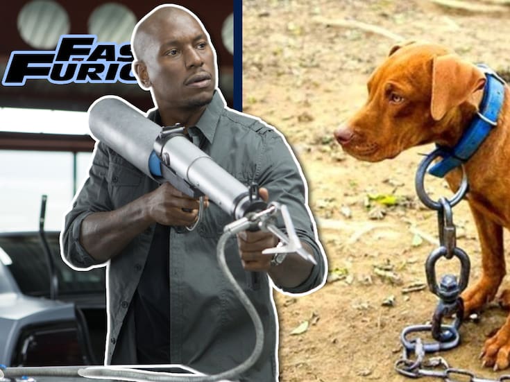 Tyrese Gibson, actor de ‘Rápido y Furioso’, es investigado por crueldad animal tras la muerte del perro de su vecino