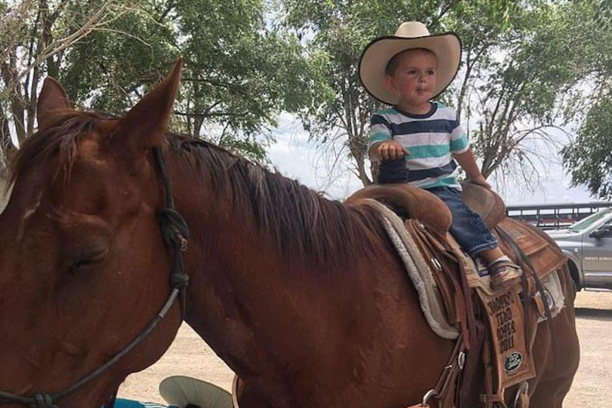 Pequeñito muere al ser pateado por un caballo; practicaba equitación