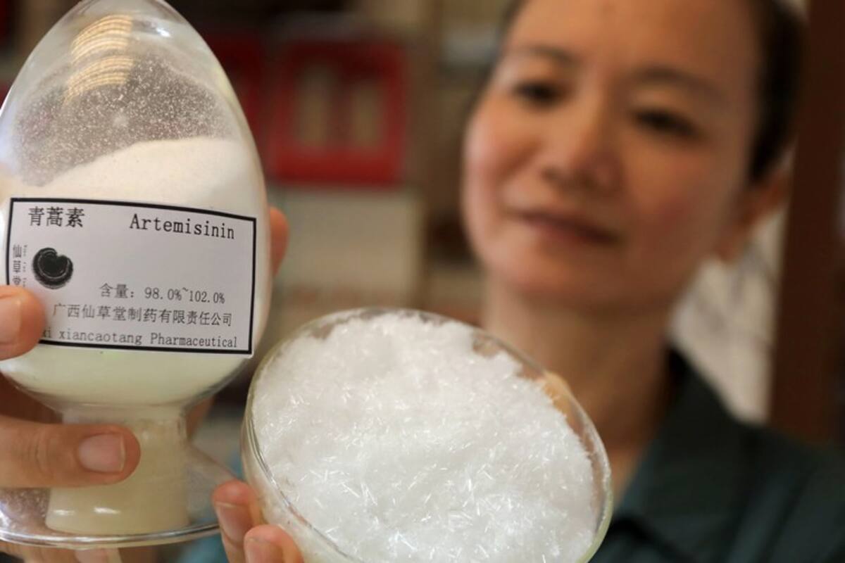 Qué es la malaria, la enfermedad que la OMS dice que China ha logrado erradicar tras 70 años de lucha
