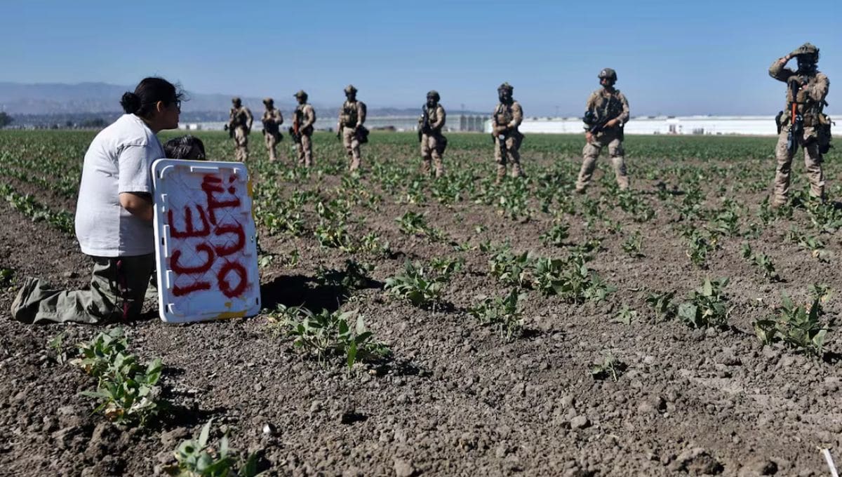 Autoridades de EEUU detectan a menores migrantes solos en granjas agrícolas. Redadas revelan posible trabajo forzado.