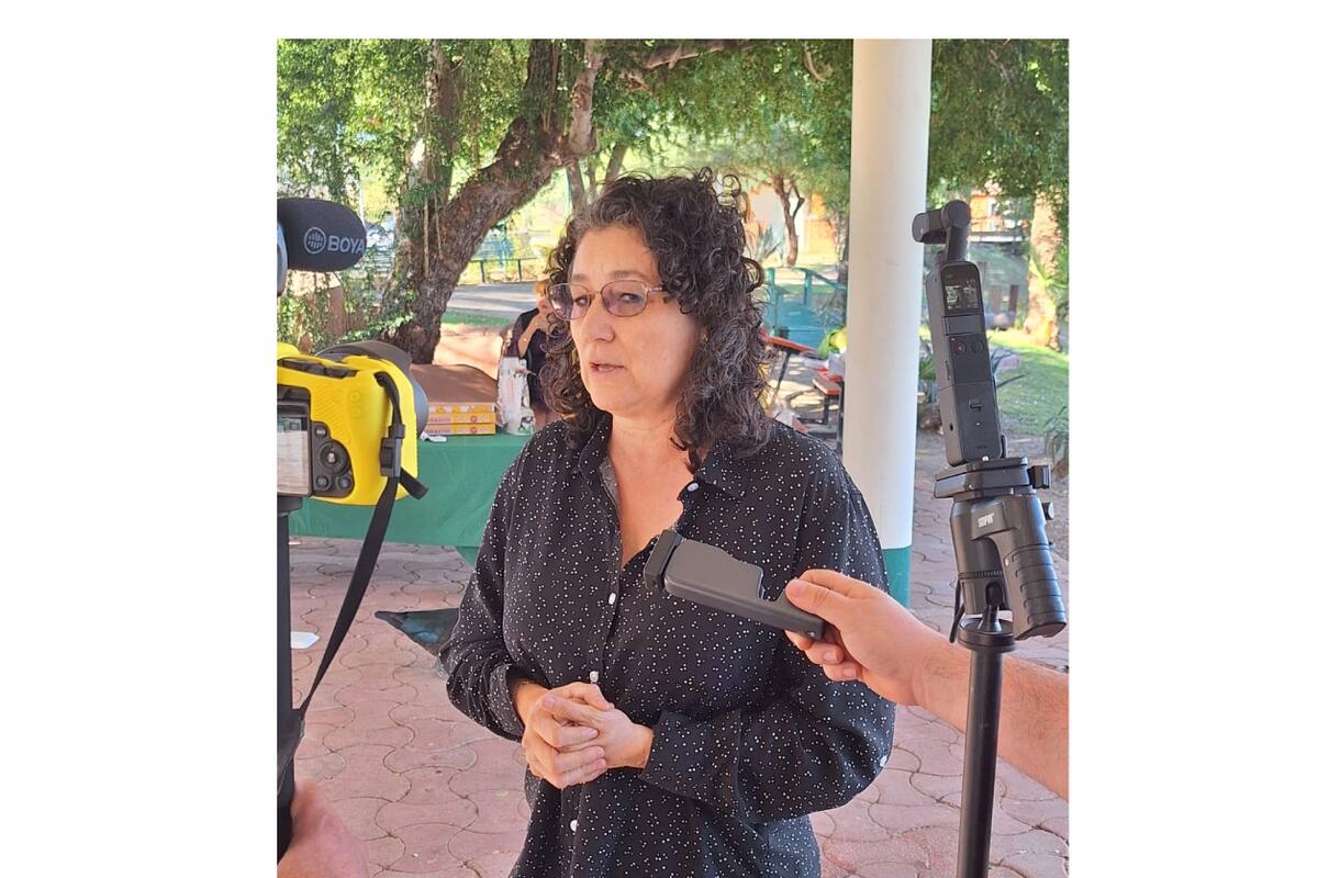 Contemplan la creación de un empaque para pequeños productores de dátil