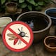 De esta forma puedes combatir los criaderos de mosquitos y prevenir el dengue