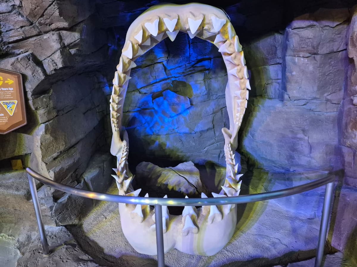 La renovada atracción de SeaWorld San Diego ofrece una experiencia interactiva con tecnología inmersiva, un recorrido submarino y la oportunidad de conocer de cerca distintas especies de tiburones y su conservación. Foto: Andrea García