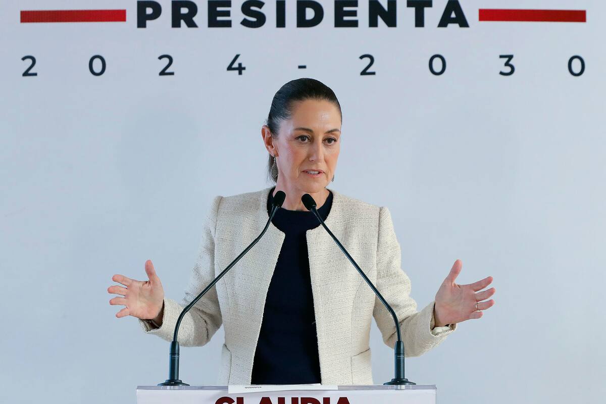 Piden a Sheimbaun restituir apoyos a la cultura en México