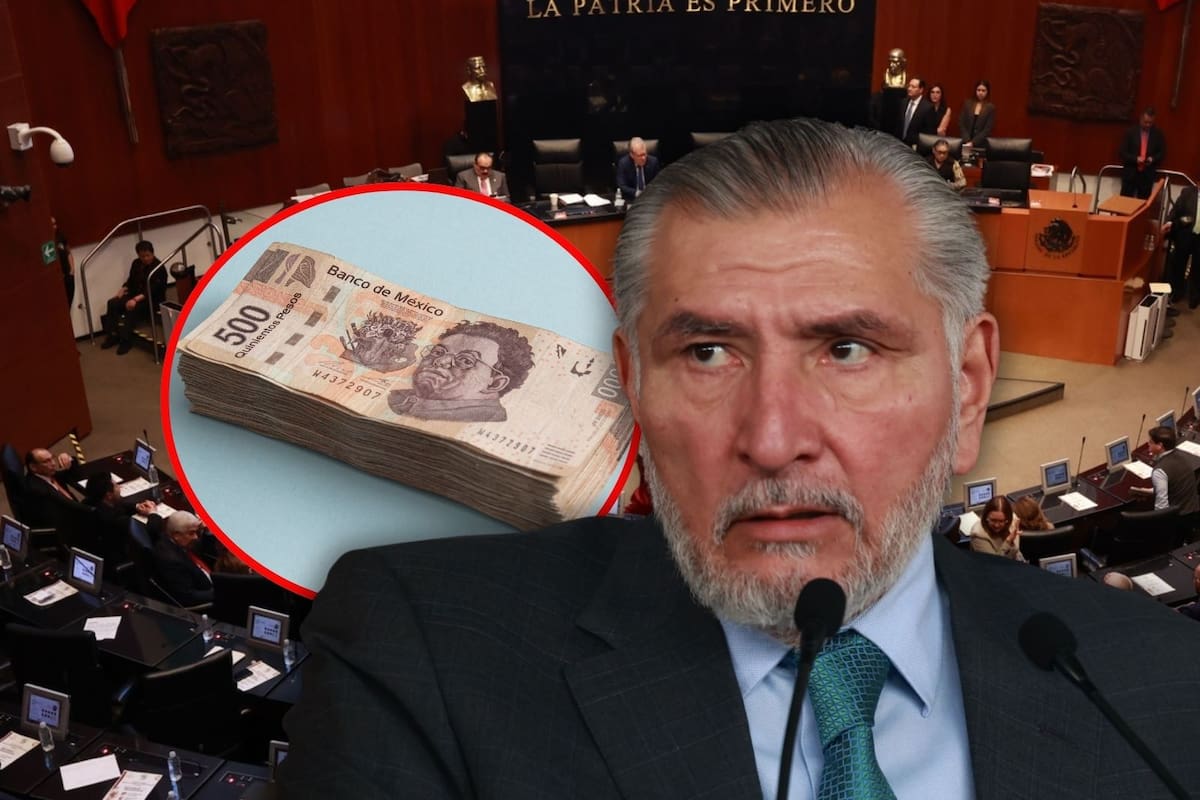 Adán Augusto multiplicó 11,000% una bolsa discrecional del Senado: de 8 millones a casi 900 millones en un año, según señala un documento oficial