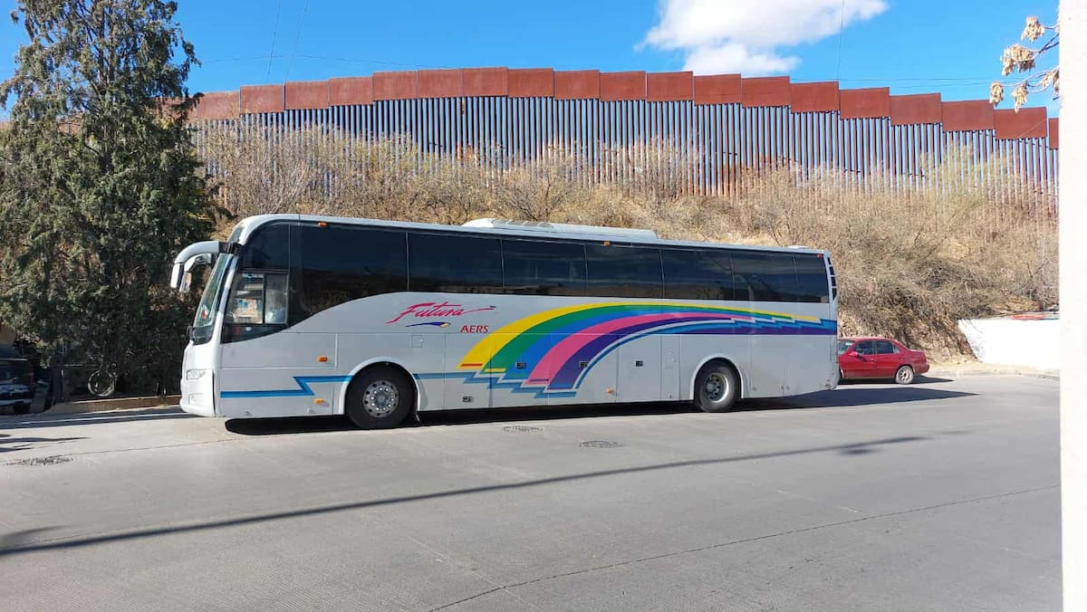 Decomiso en nogales.