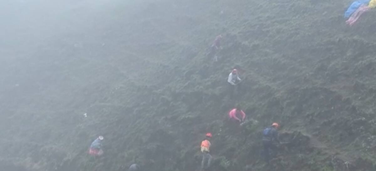 Personas ayudando a la reforestación en Los Andes en Perú. / CNN