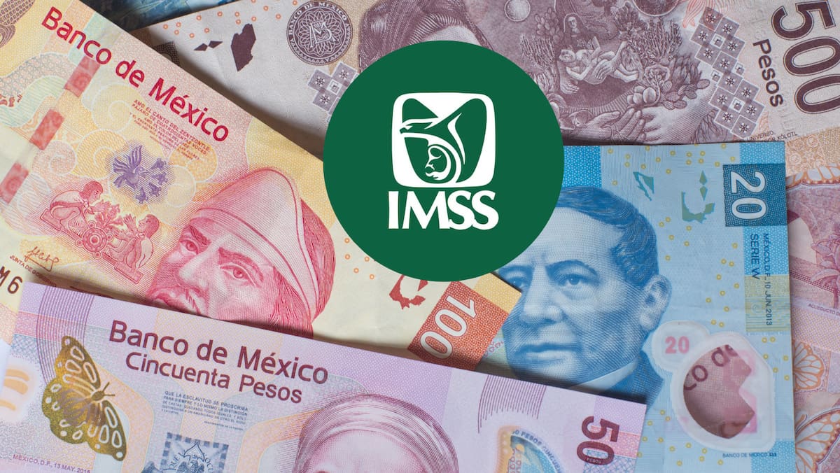 Los pensionados continuarán recibiendo sus prestaciones con regularidad, aunque trabajen para una plataforma digital