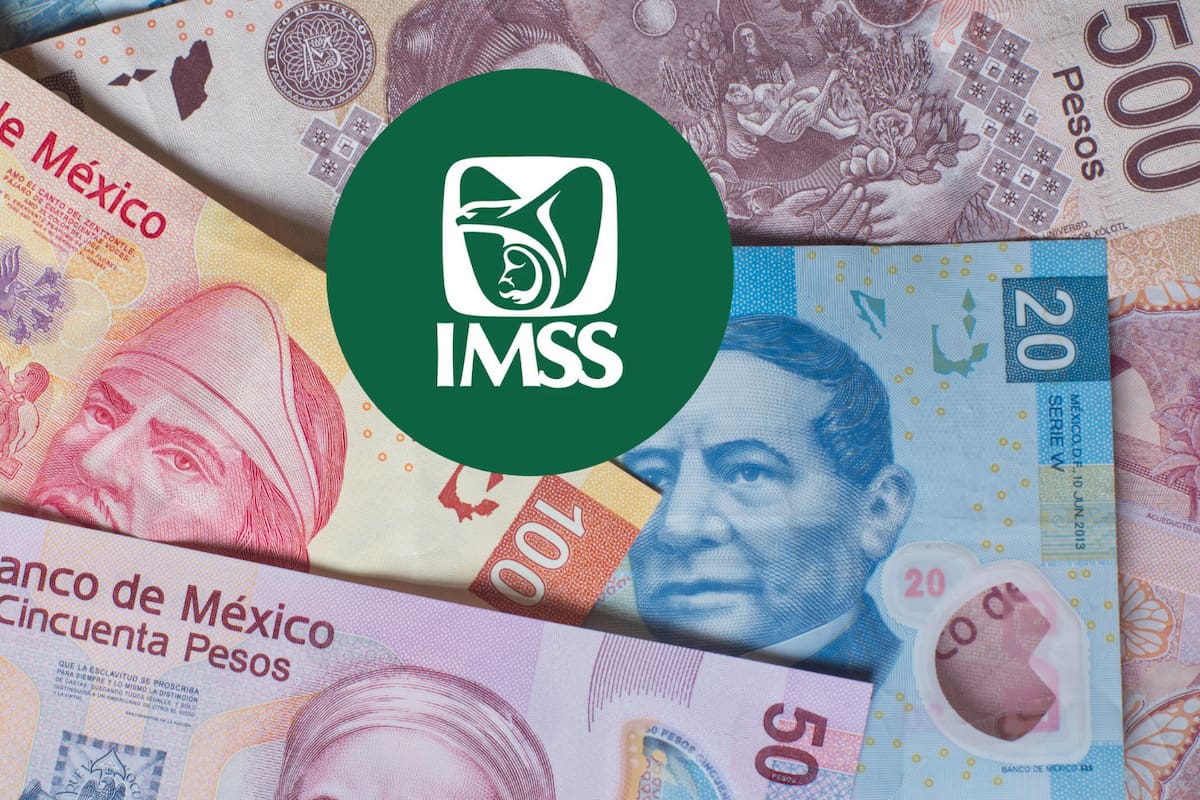 Calendario oficial de Pensión IMSS 2026: Estas son todas las fechas exactas de depósito para el próximo año