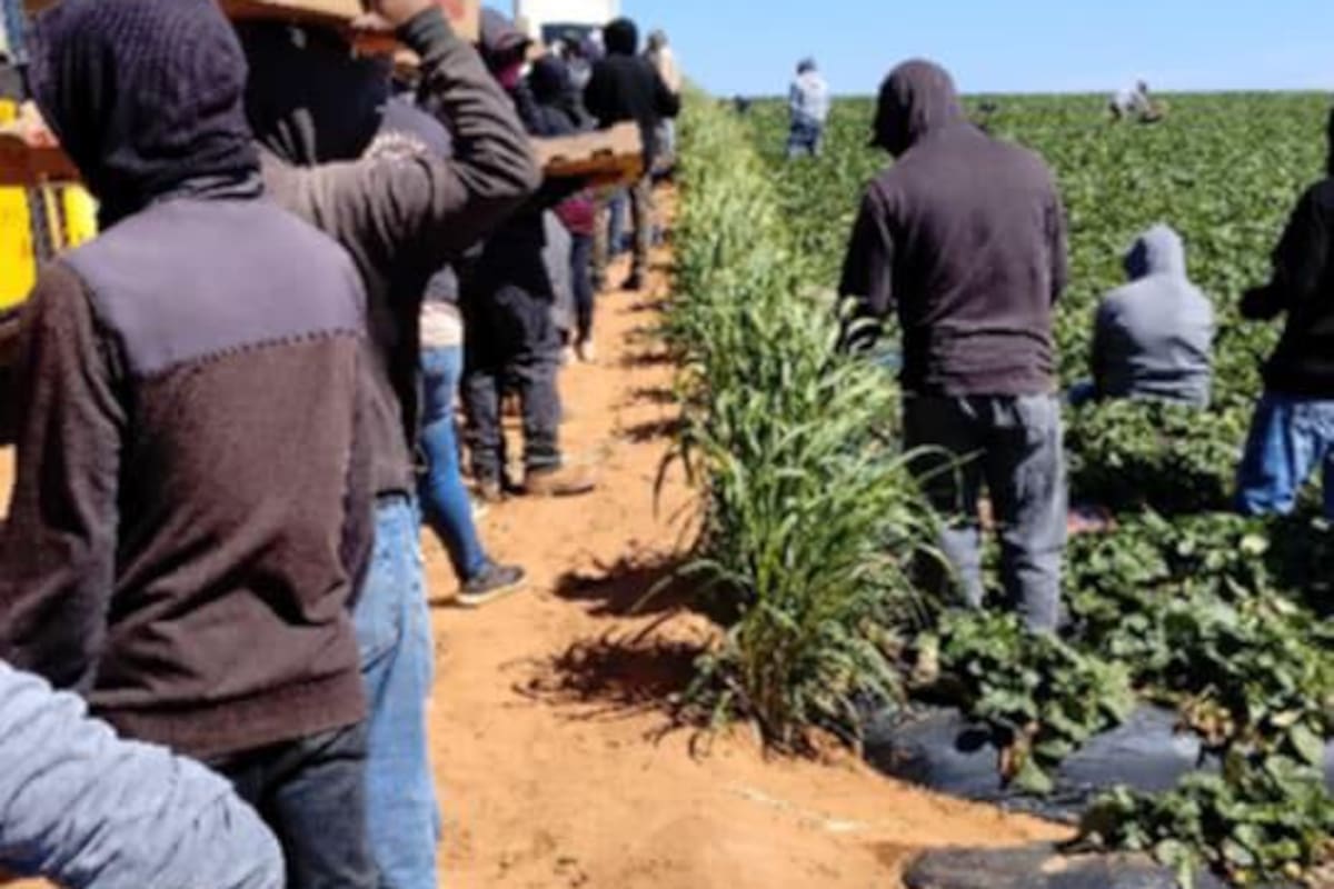 Se cumplen 11 años de la lucha de jornaleros de San Quintín