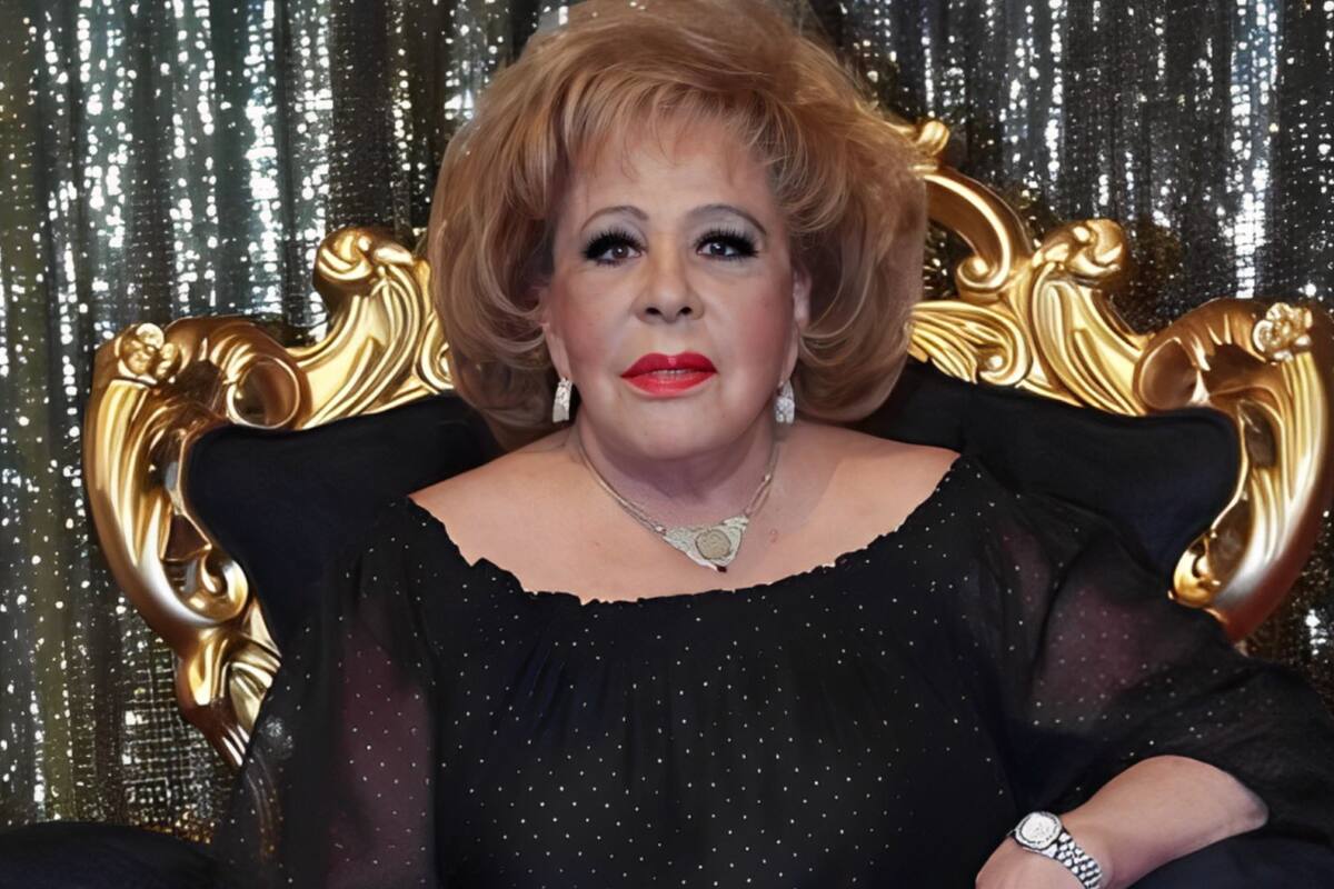 ¿Cuál era el nivel de estudios de Silvia Pinal?