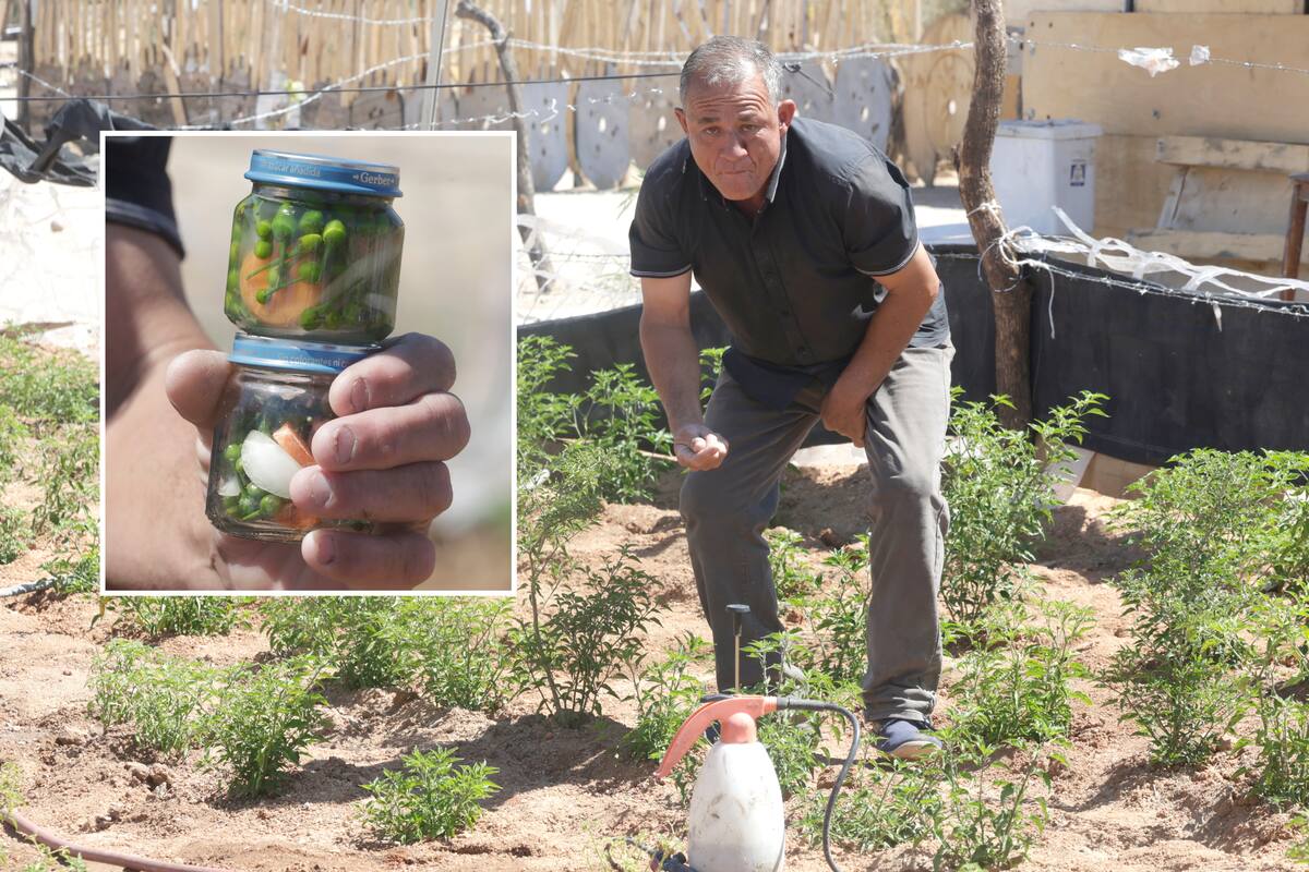 Vecino de la invasión Altares transforma su solar en un lugar “picante”