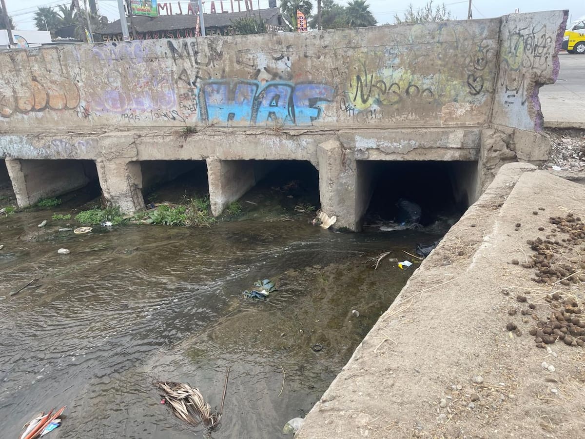 Foto: Carmen Gutiérrez