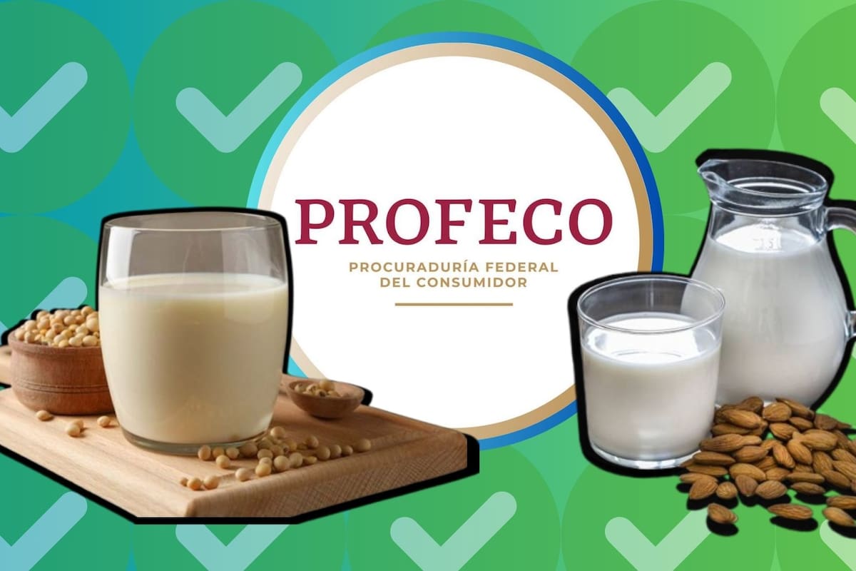 Profeco señala a las mejores marcas de leche de almendras y de soya ¿Cuáles son?