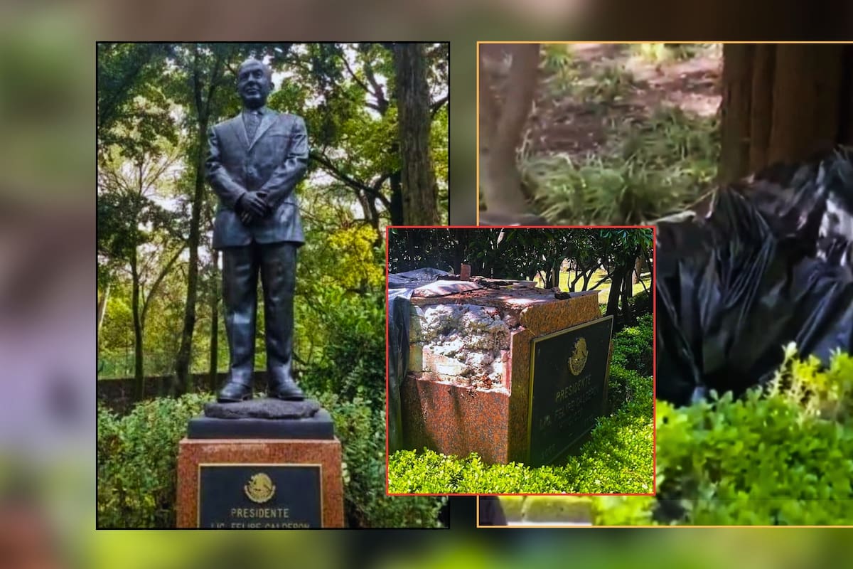 Árbol y fuertes lluvias derribaron la estatua de 500 mil pesos de Felipe Calderón en Los Pinos; la envolvieron en plástico negro (FOTOS)