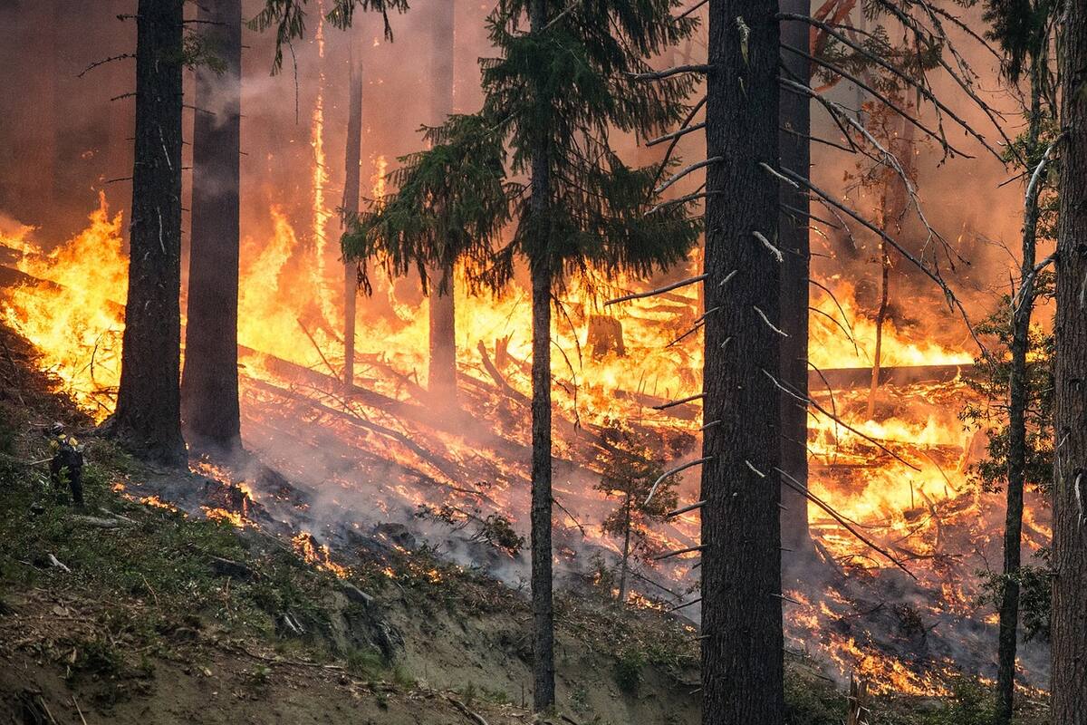 México tiene 77 incendios activos, prevén que se alarguen hasta junio