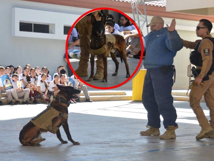 El agente K9 “López” se despide tras ocho años de servicio en la Policía Municipal