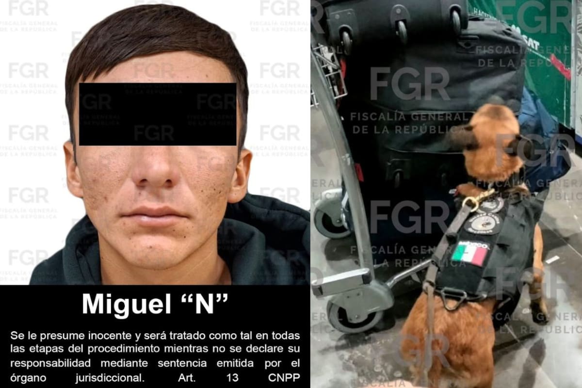 Detienen a pasajero procedente de Colombia en aeropuerto de Nuevo León tras hallar más de 94 litros de cocaína en botellas que simulaban ser suplementos