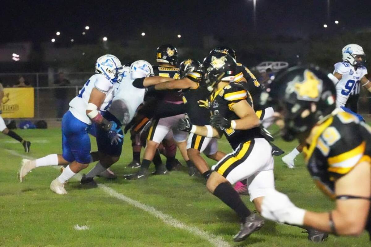 Zorros buscará seguir invicto