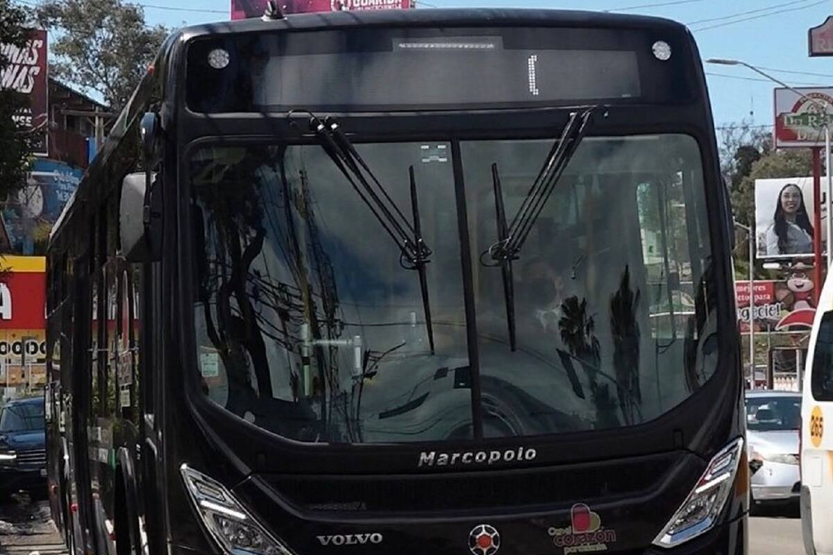 Refuerzan transporte con unidades 'inclusivas'
