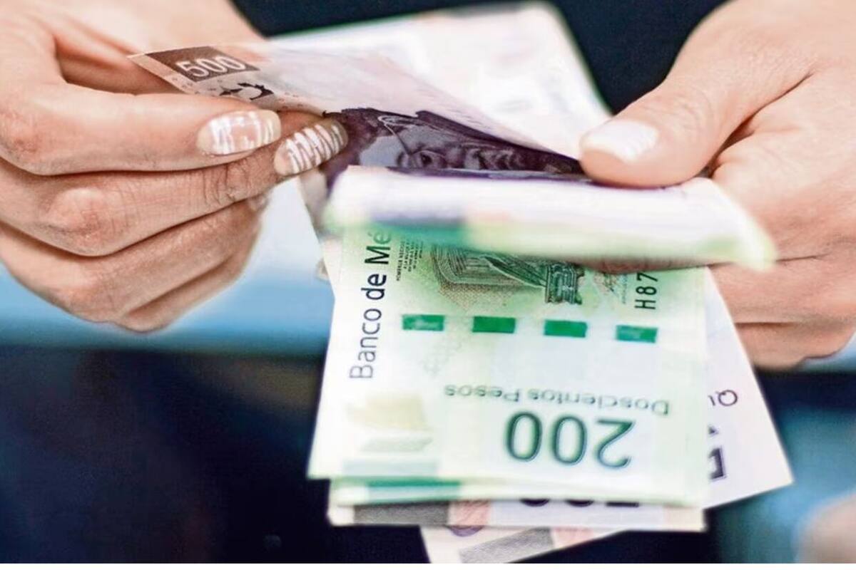 Reforma de pensiones: ¿De qué trata y cuándo se votará?