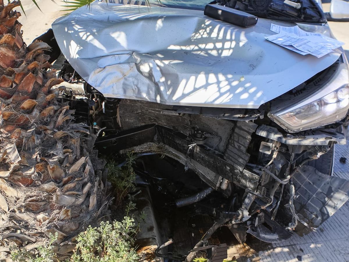 La unidad chocó contra una palmera en Lomas Virreyes; no se reportaron lesiones graves. Foto: Border Zoom