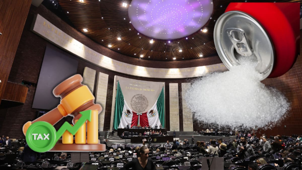 Foto: Cámara de Diputados/Canva.