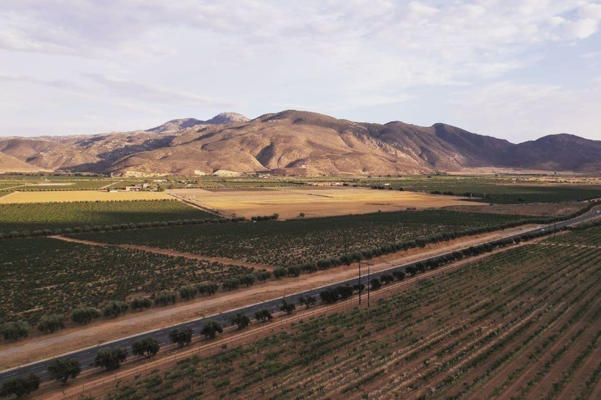 Advierten sobre ventas de terrenos irregulares en Valle de Guadalupe