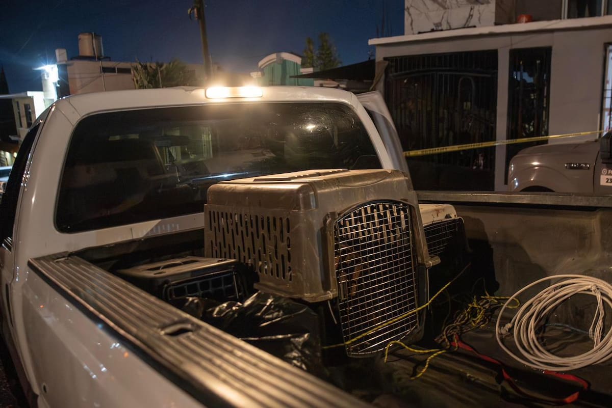 Autoridades realizaron un cateo por presunto maltrato animal; seis perros fueron resguardados y uno murió. Foto: Border Zoom