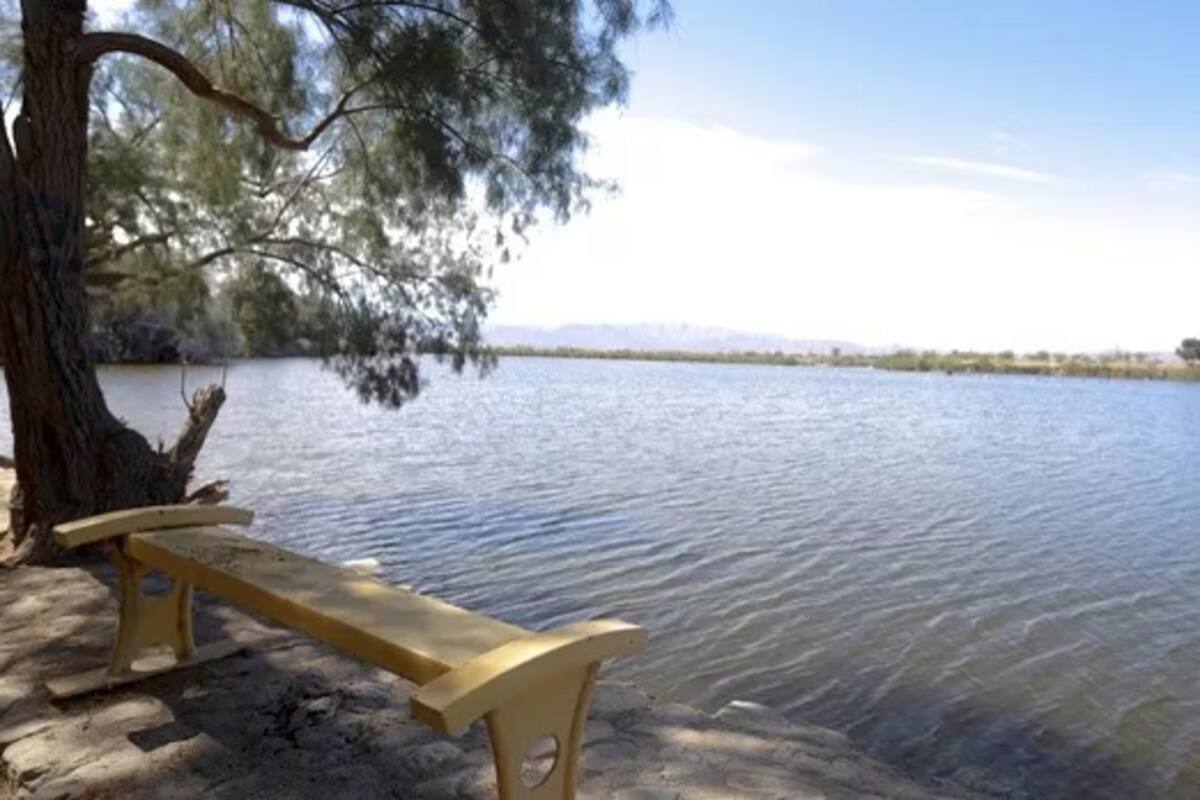 Contemplan creación de una Dirección de Parques Municipales