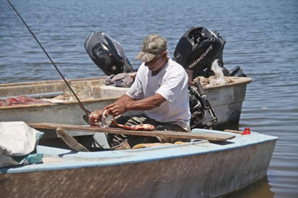Tienen pescadores de la presa Álvaro Obregón baja en producción
