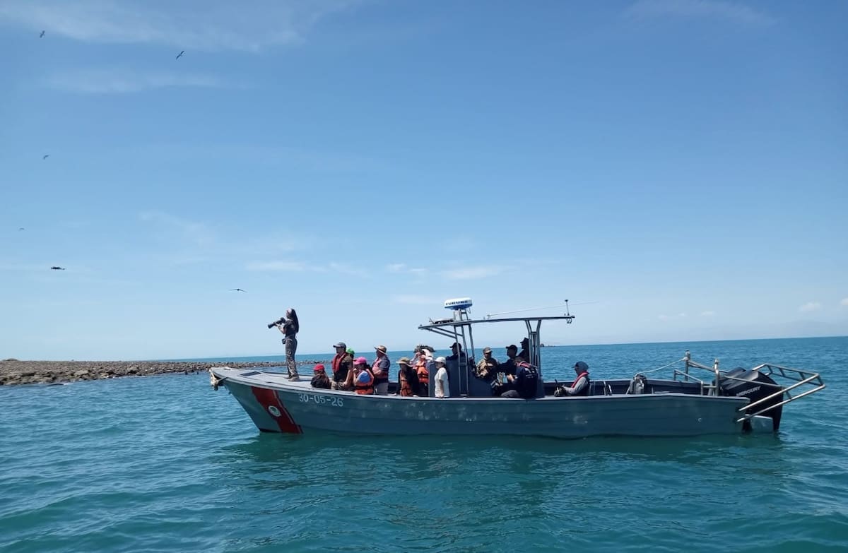 La Secretaría de Marina señaló que este tipo de acciones forman parte de su compromiso con la protección y conservación de la fauna marina l Foto: Cortesía