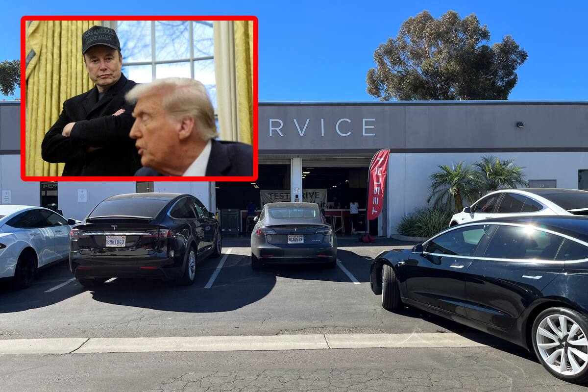 La caída de Tesla en la bolsa y el apoyo de Donald Trump a Elon Musk donde acusa boicot: “Me voy a comprar un auto”