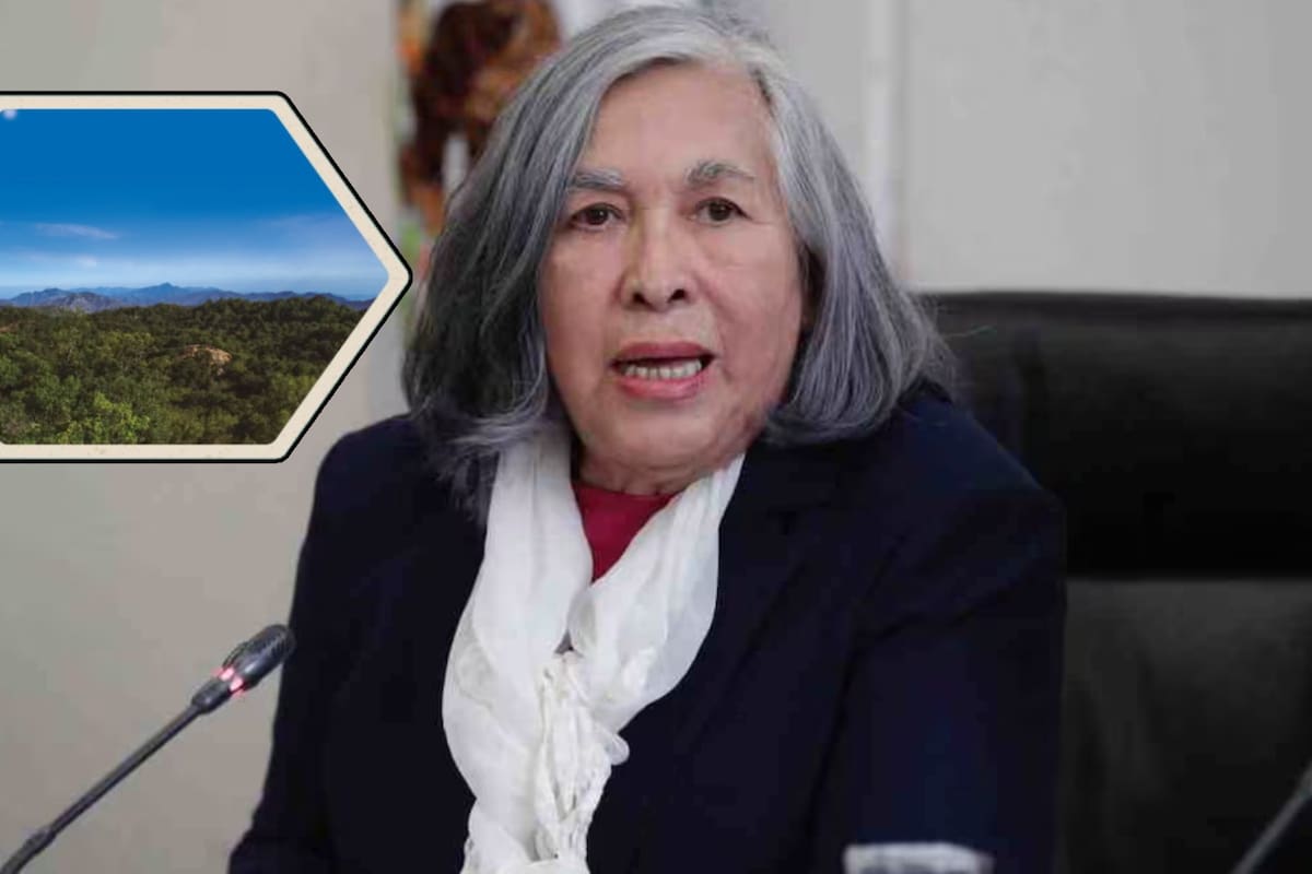 ¿Por qué la Corte declaró a la ministra María Estela Ríos como impedida en juicio agrario?