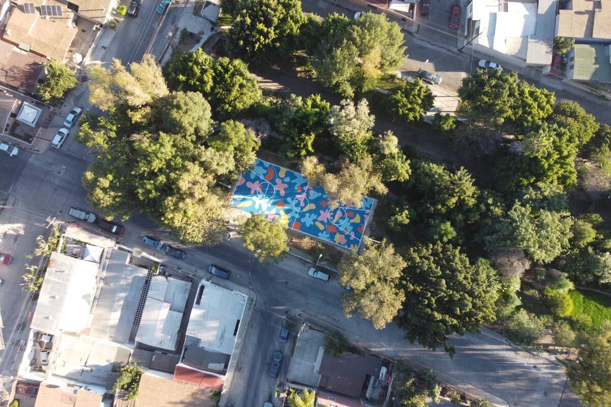 CDT: Tiene plan de acción para Tijuana