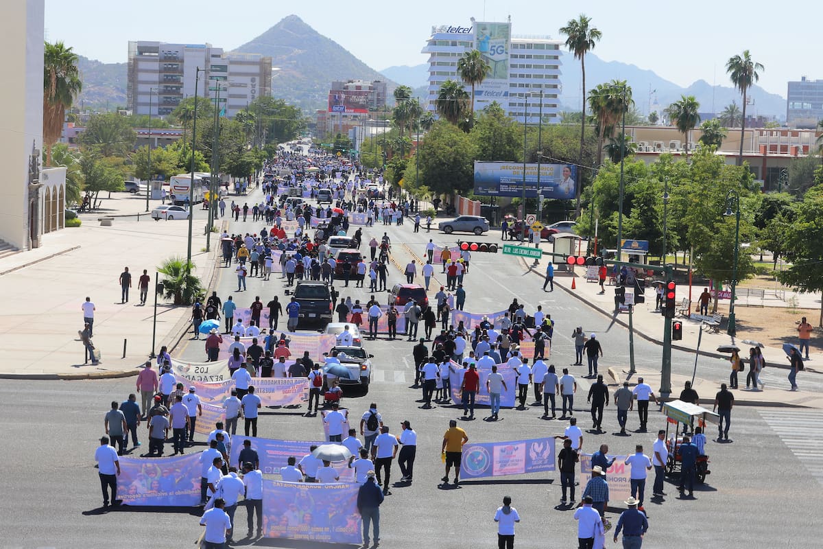 Dejarán operar a galleros en Sonora; llegan a acuerdos por Ley Animal