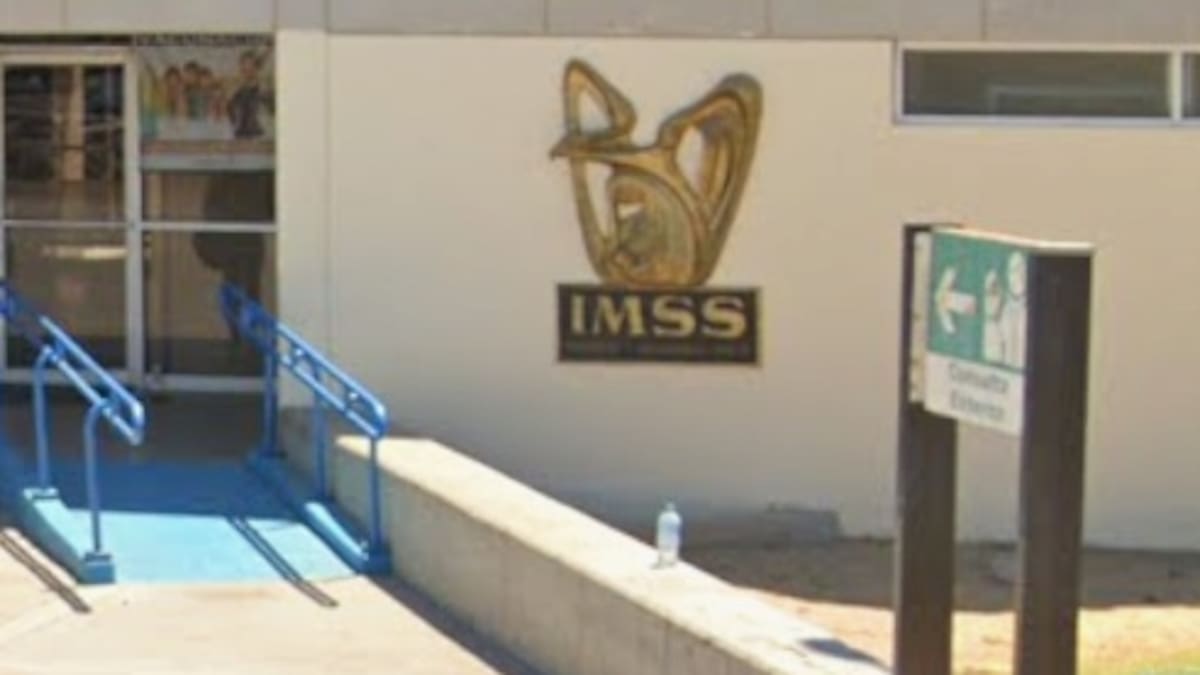 El IMSS tendrá acceso gratuito a servicios de interrupción legal del embarazo en CDMX y 25 estados más