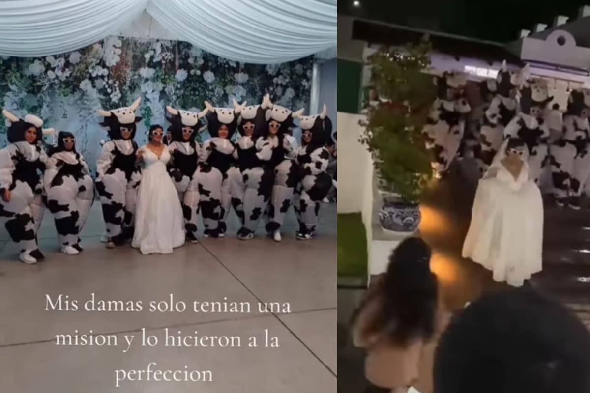 “Tenían solo una misión y lo hicieron perfecto”: damas de honor se visten de vacas y la boda se vuelve viral