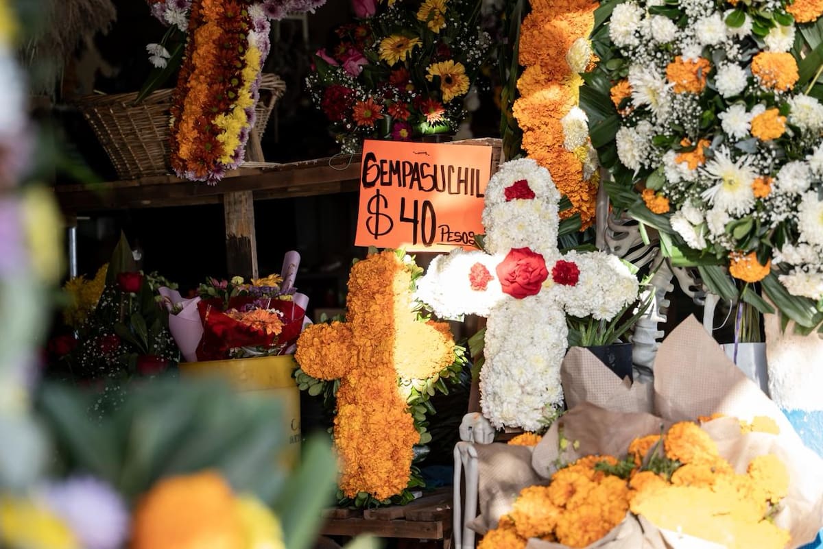 El crecimiento de la competencia ha generado una reducción significativa en sus ingresos. Foto: Border Zoom