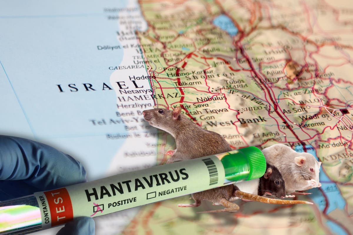 Israel reporta su primer caso de hantavirus y activa vigilancia sanitaria por una infección ligada a roedores: Esto es lo que se sabe