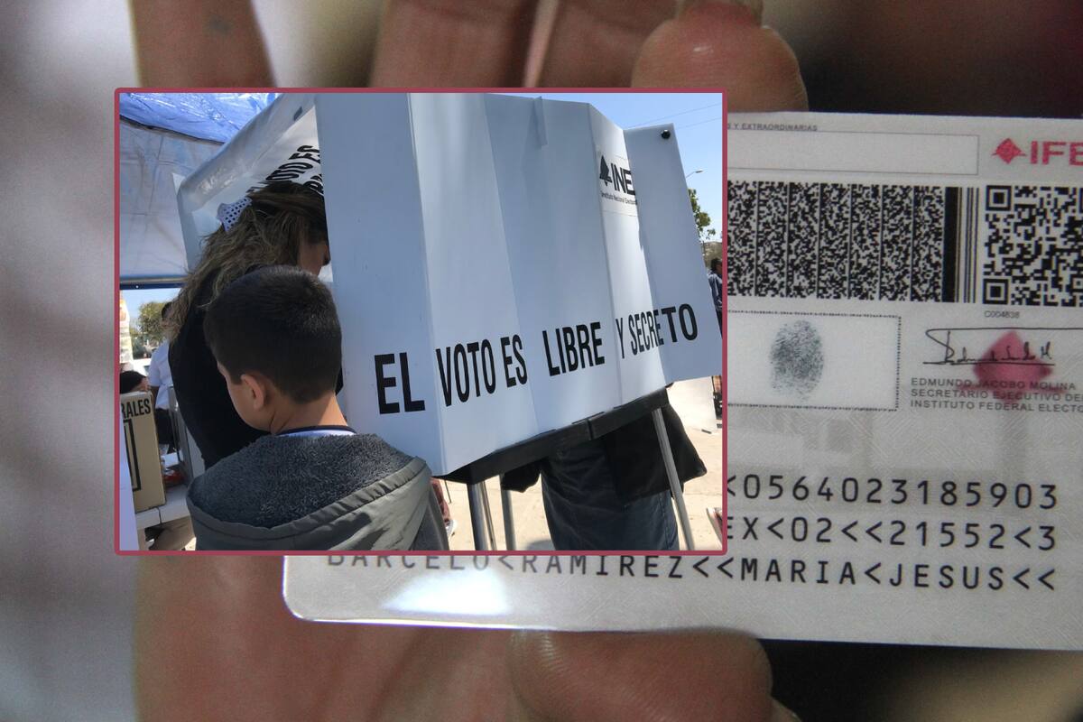 INE teme que la nueva CURP biométrica sea “espanta votantes” en elecciones